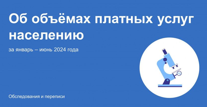 Об объёмах платных услуг населению Мурманской области в январе - июне 2024 года